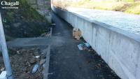 Imagine atasata: 20141221_104258.jpg